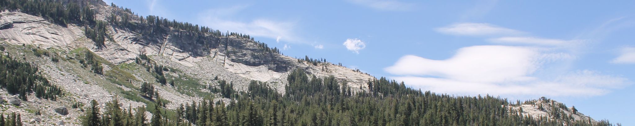 Cover photo for Danny Milchovich's Obituary