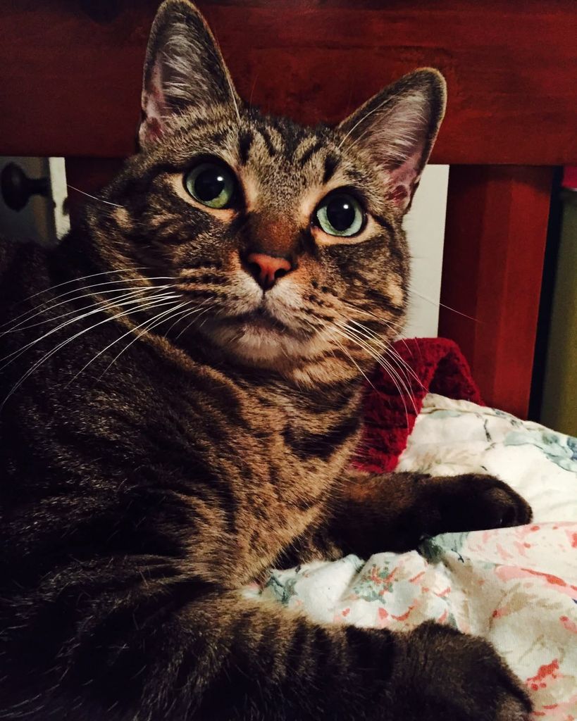 Noot "Snooki" Harmon Profile Photo