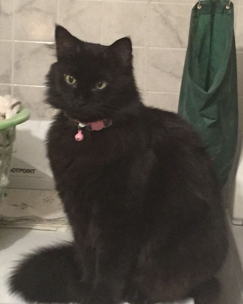 Lily Ann Truitt Profile Photo