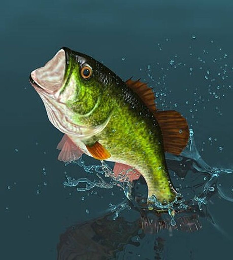 Gary Paul Mangum Profile Photo