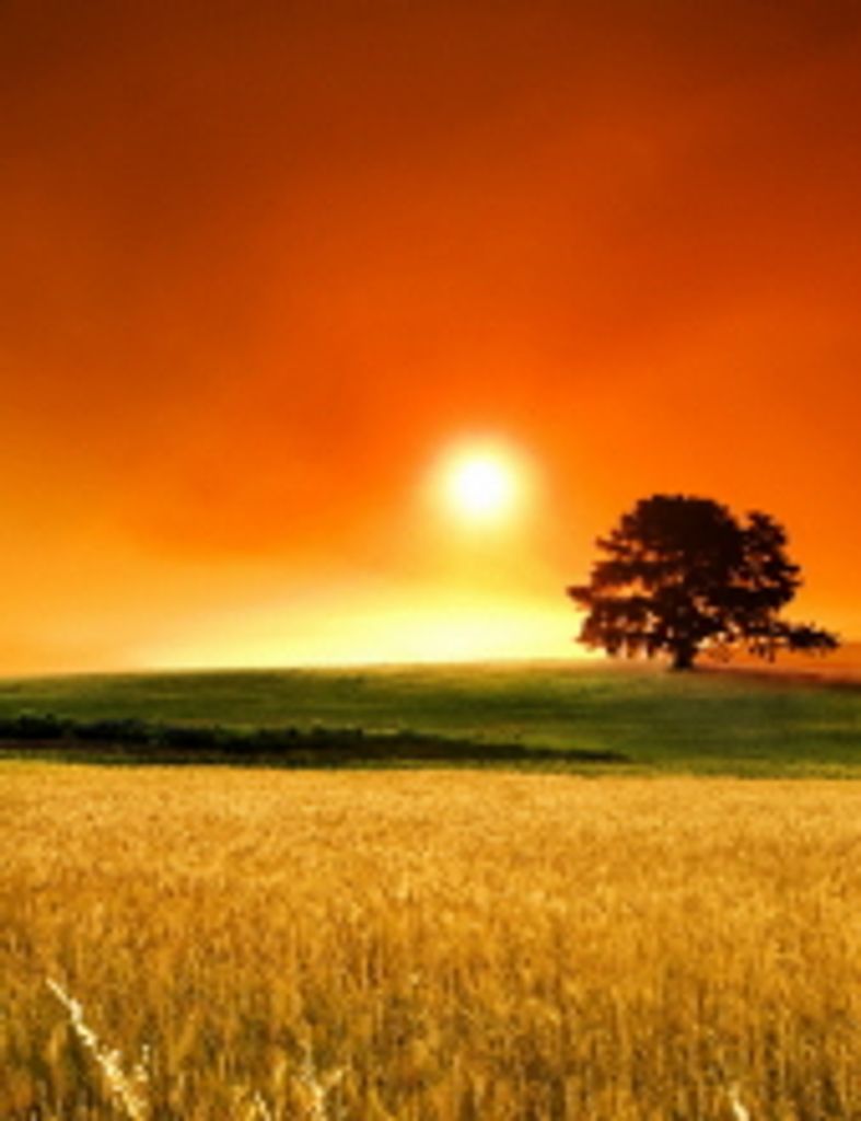 William 'Kenney' West