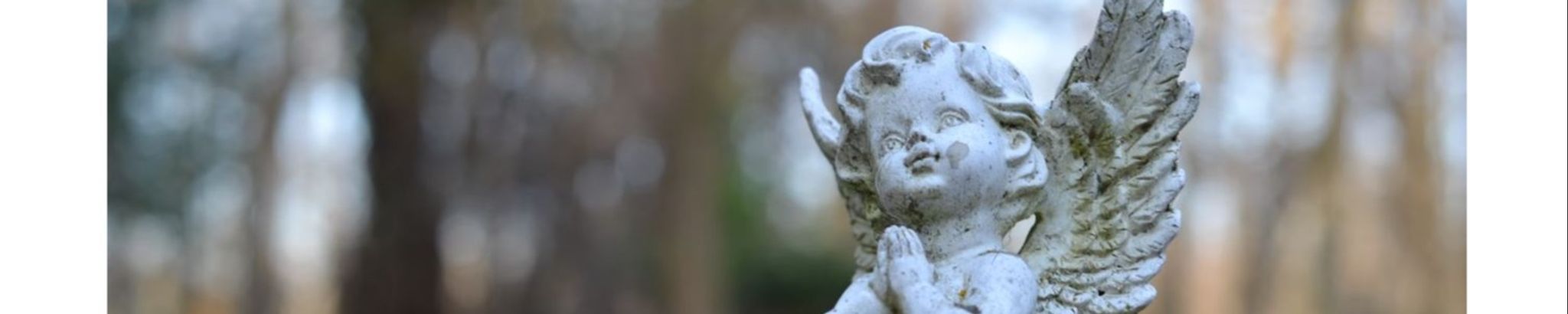 Cover photo for Sharon Sue Hayes's Obituary