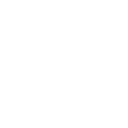 Lake Erie Cremation and Funeral Services Logo