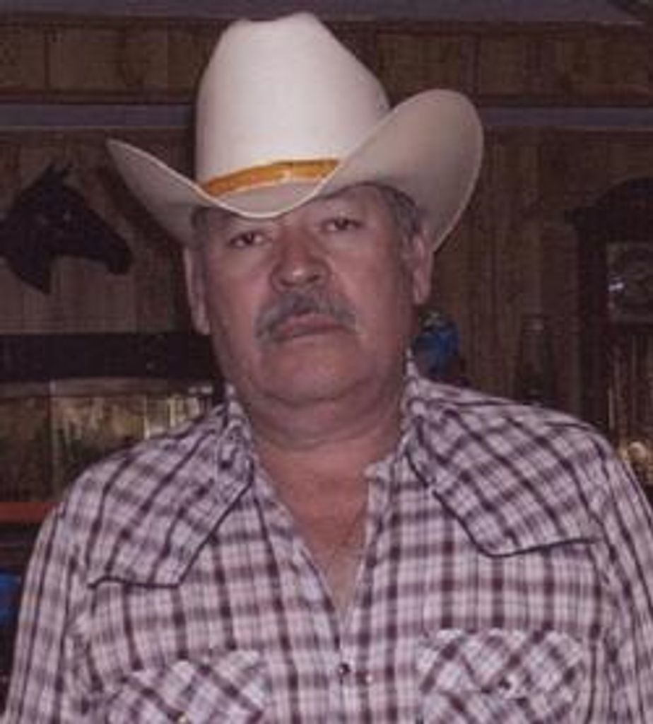 Luis Carlos Meza-Dominguez