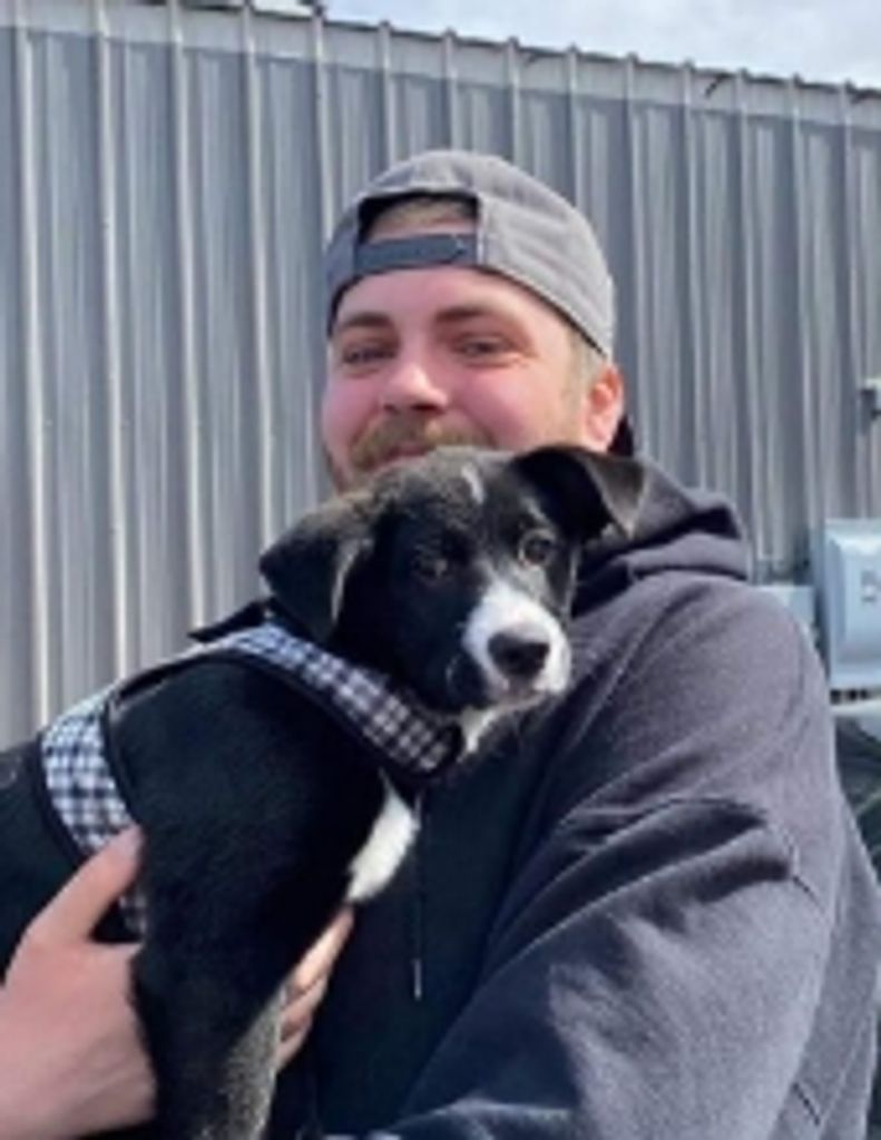 Joshua Caleb Schumacher Profile Photo