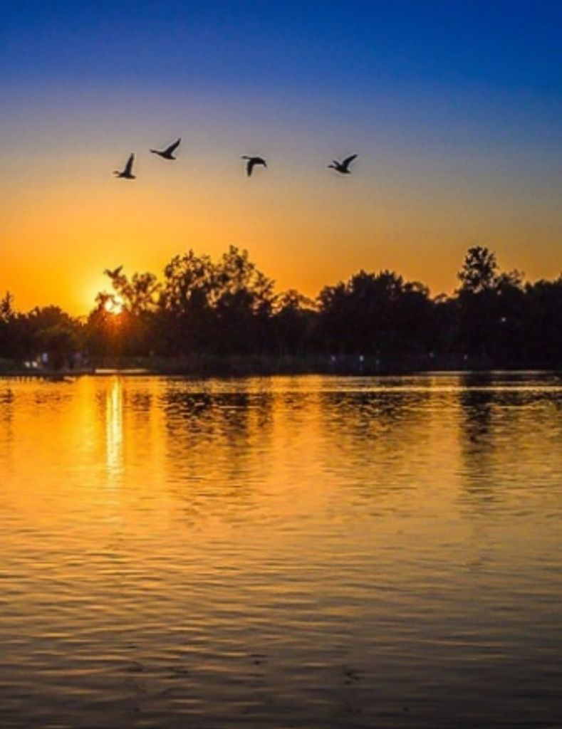 Harry Eugene Herndon