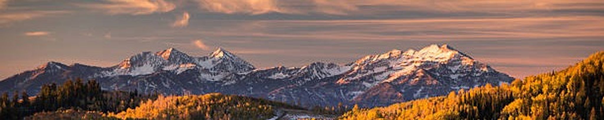 Cover for Janette Ellen West's Obituary