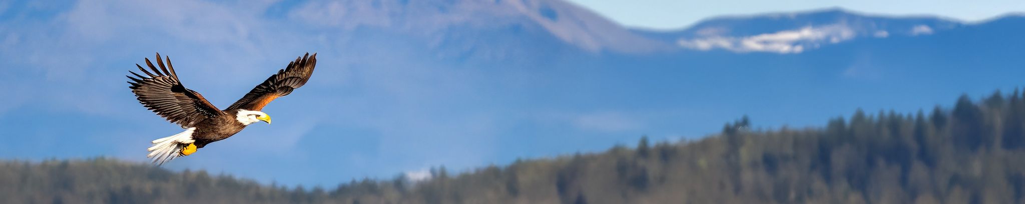 Cover for Richard "Dick" Coulter's Obituary