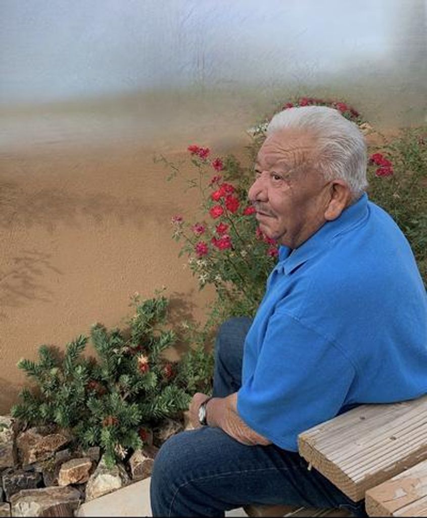 Laureano Fimbres Meza Profile Photo