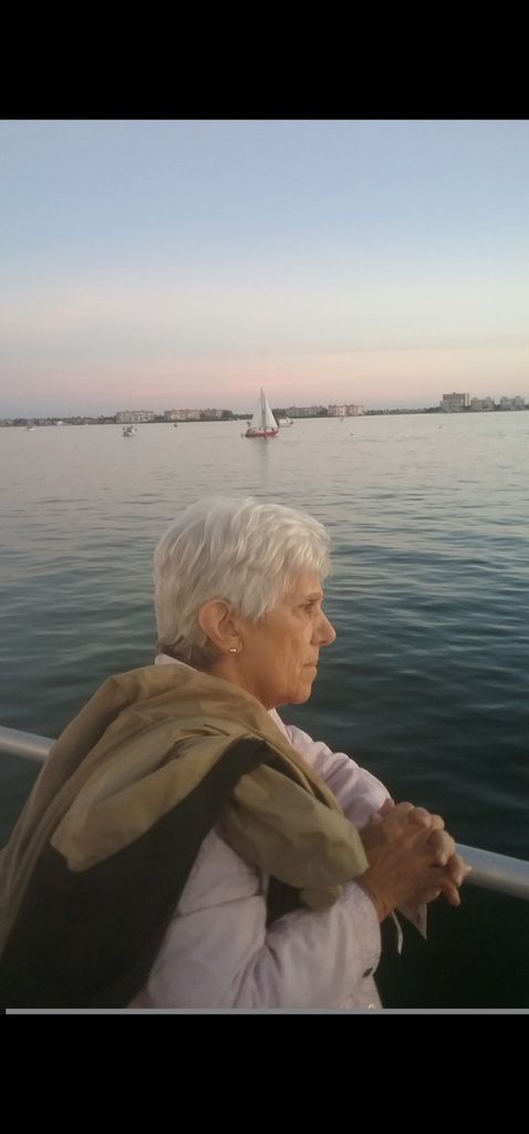 Dolores C. Domenichello