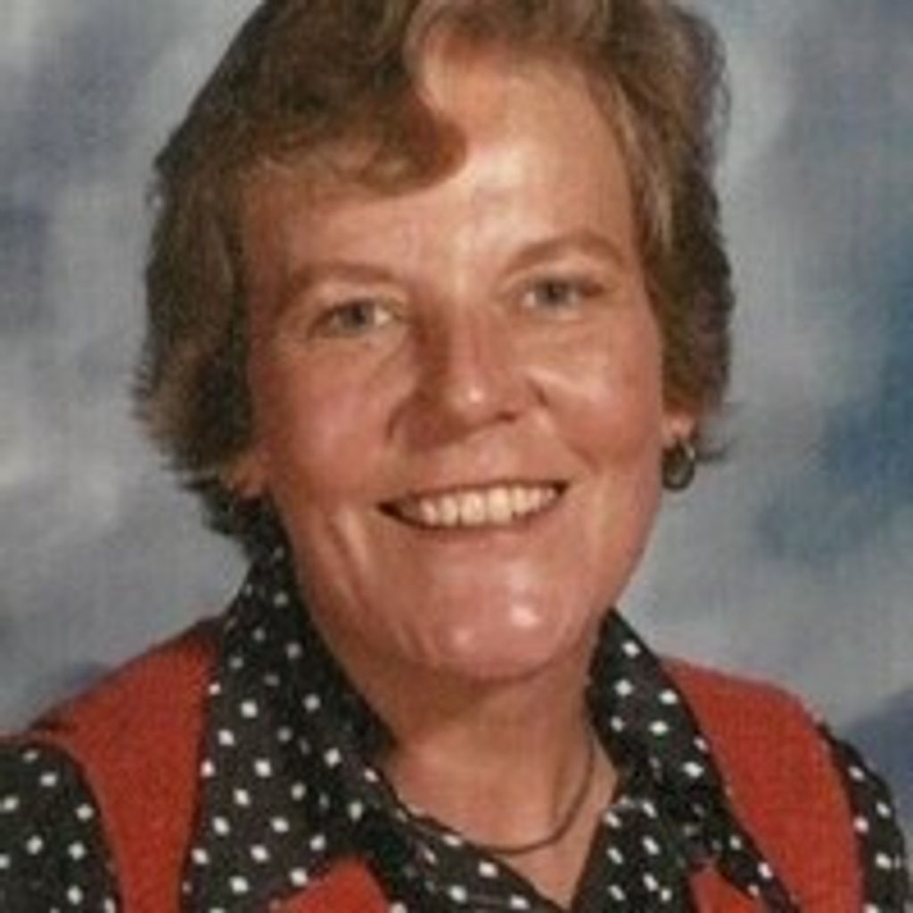 Ann E Hollop
