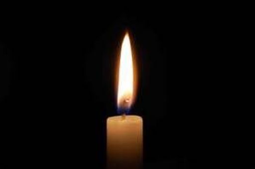 Harry Meltz Profile Photo