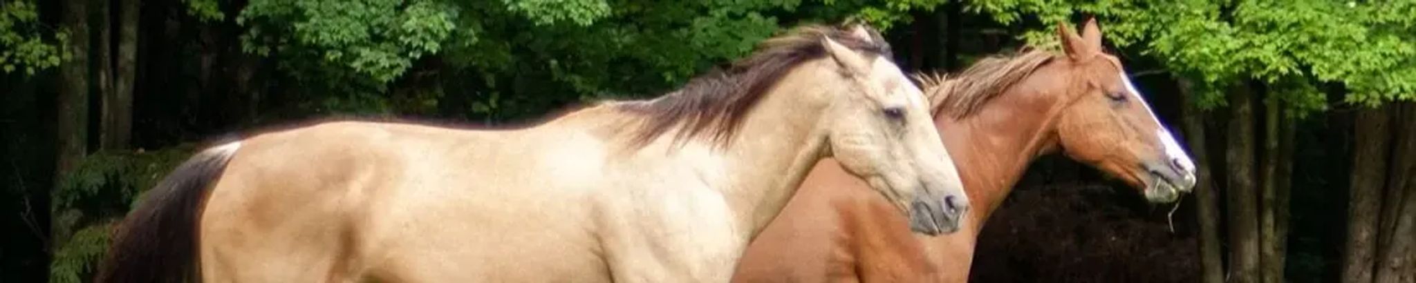 Cover for Ronald Lee Zigler's Obituary