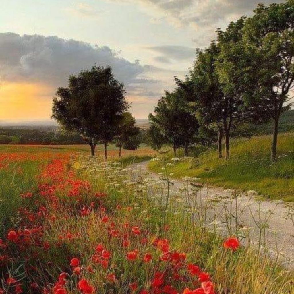 Linda Gail Wilbanks
