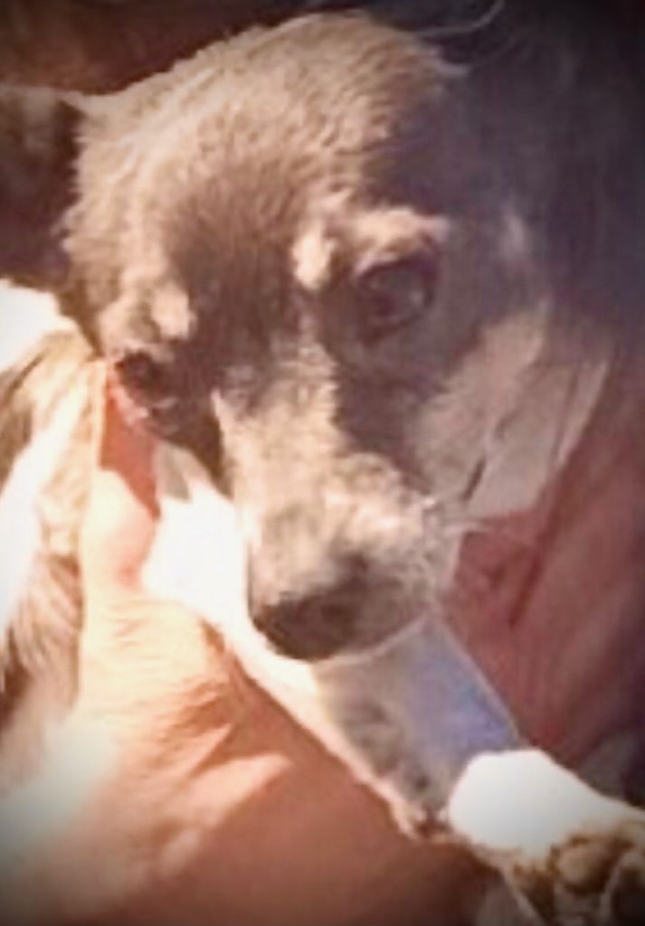 Beeper "Badass" Marie Howard-Selvidge Profile Photo