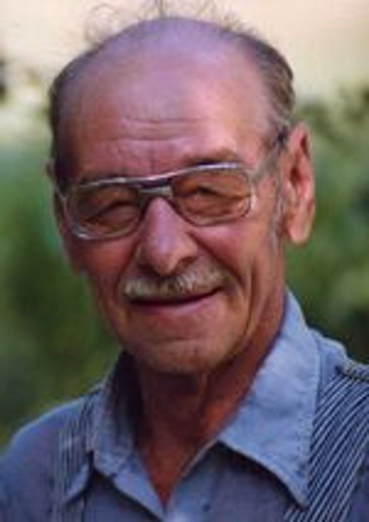 Merle Louis Meyer