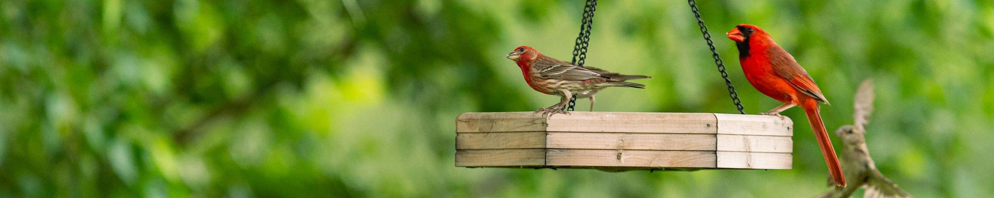 Cover for Marion Martha Palm's Obituary