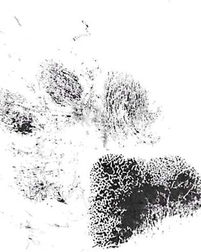 Blake Jewel Gordon Profile Photo