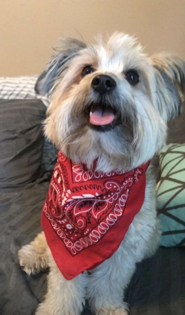 Cooper Rottet Profile Photo