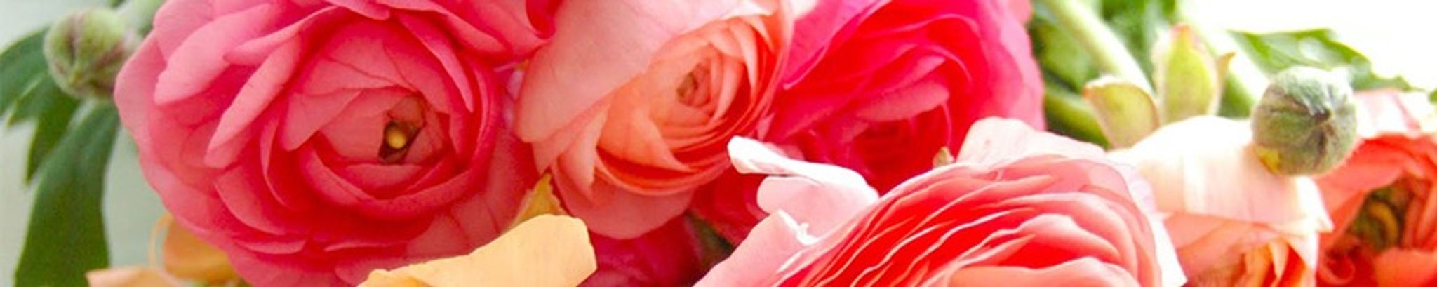 Cover photo for Carolyn Sanchez's Obituary