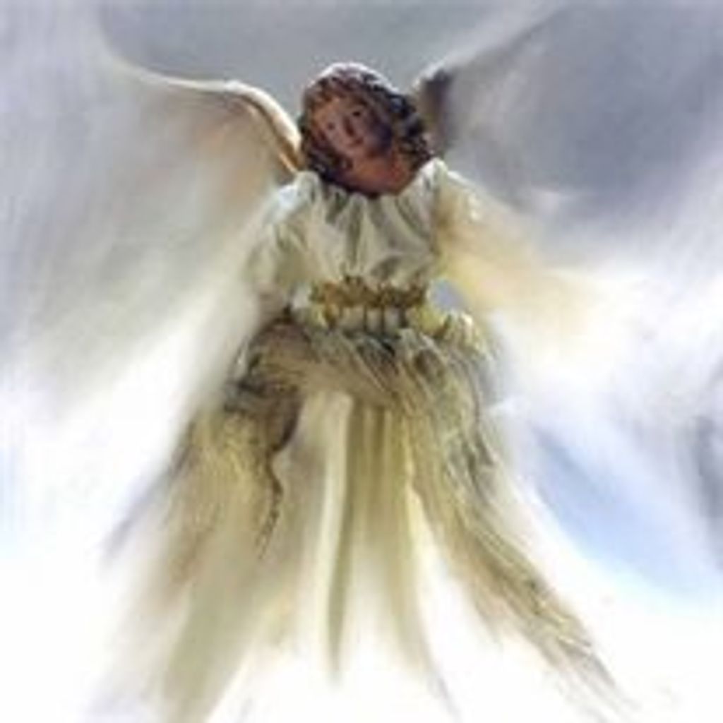 Christine  L. Wise-Allen