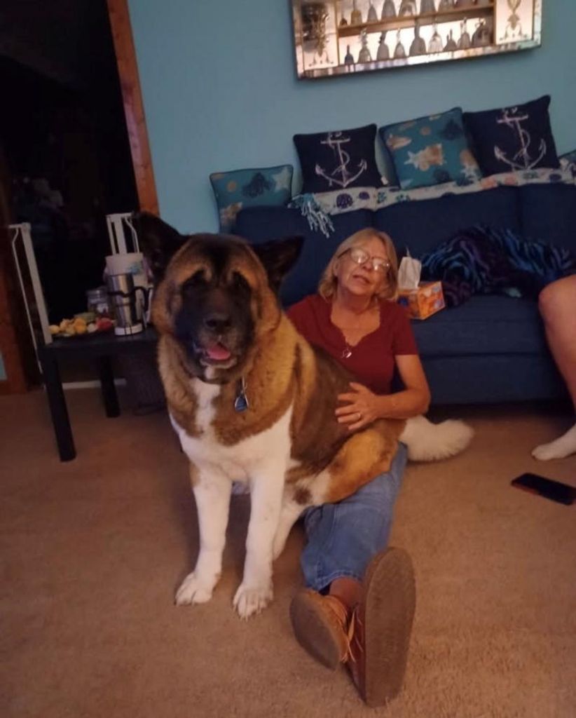 Donna Leaann Wyman Profile Photo