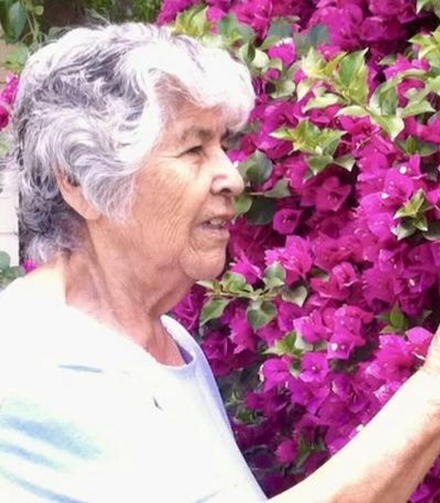 Anita M. Carrasco Profile Photo