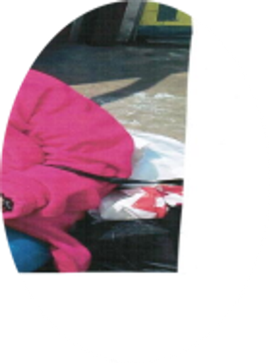Nancy Dougherty Profile Photo