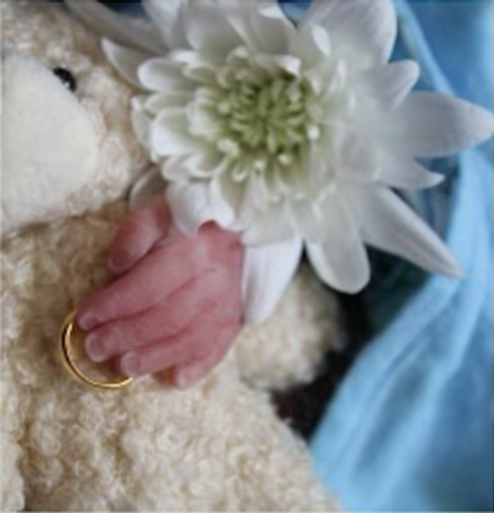 Randy Alexander Lewis Casanta Profile Photo