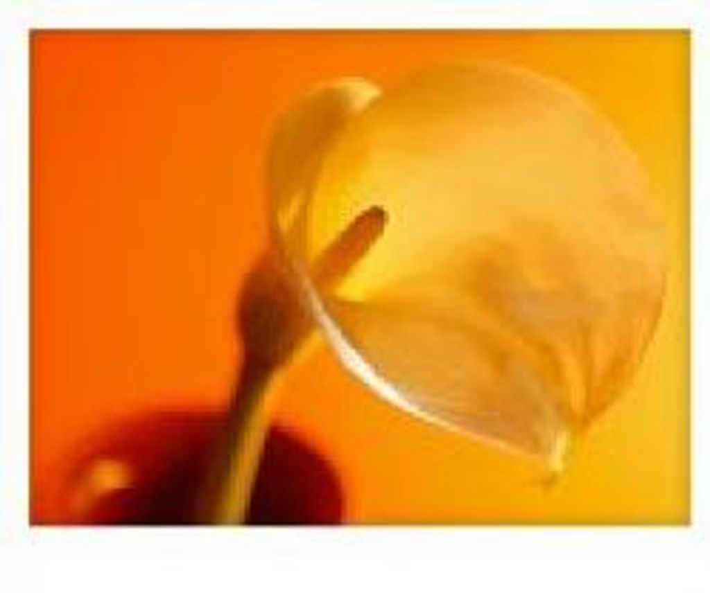 Grace Louise Kerr Profile Photo