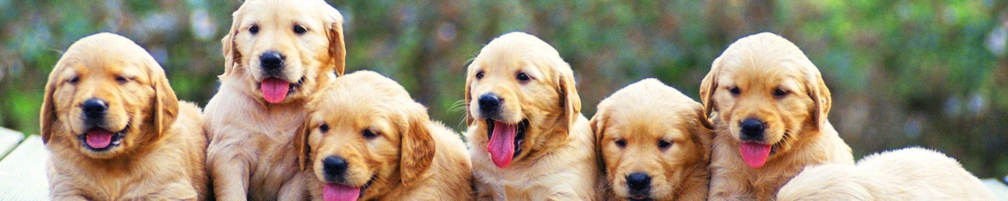 Cover for LeRoy "Lee" Clare Bailey's Obituary