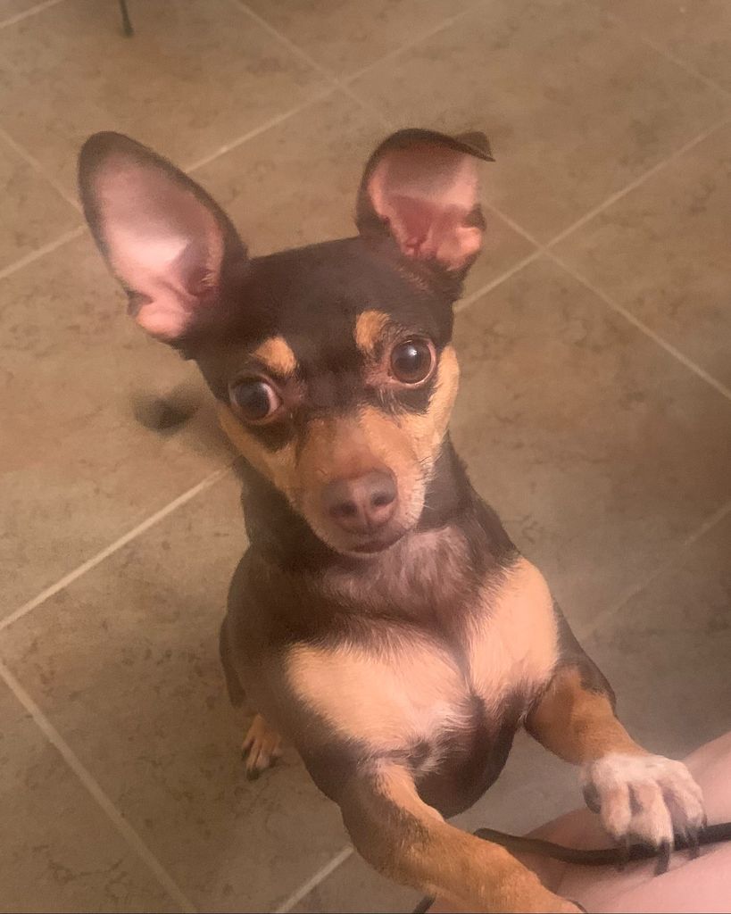 Coco 🖤 Profile Photo