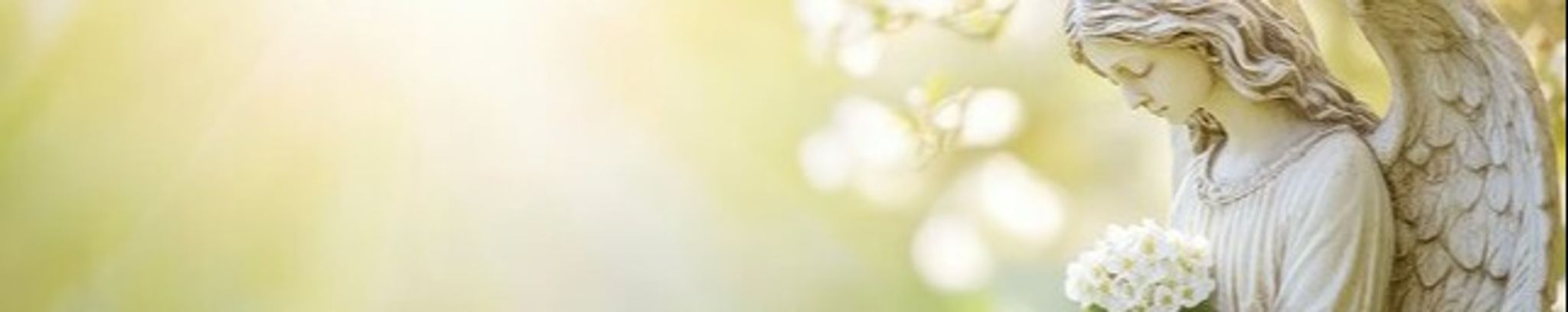 Cover for April Dawn Bruck's Obituary