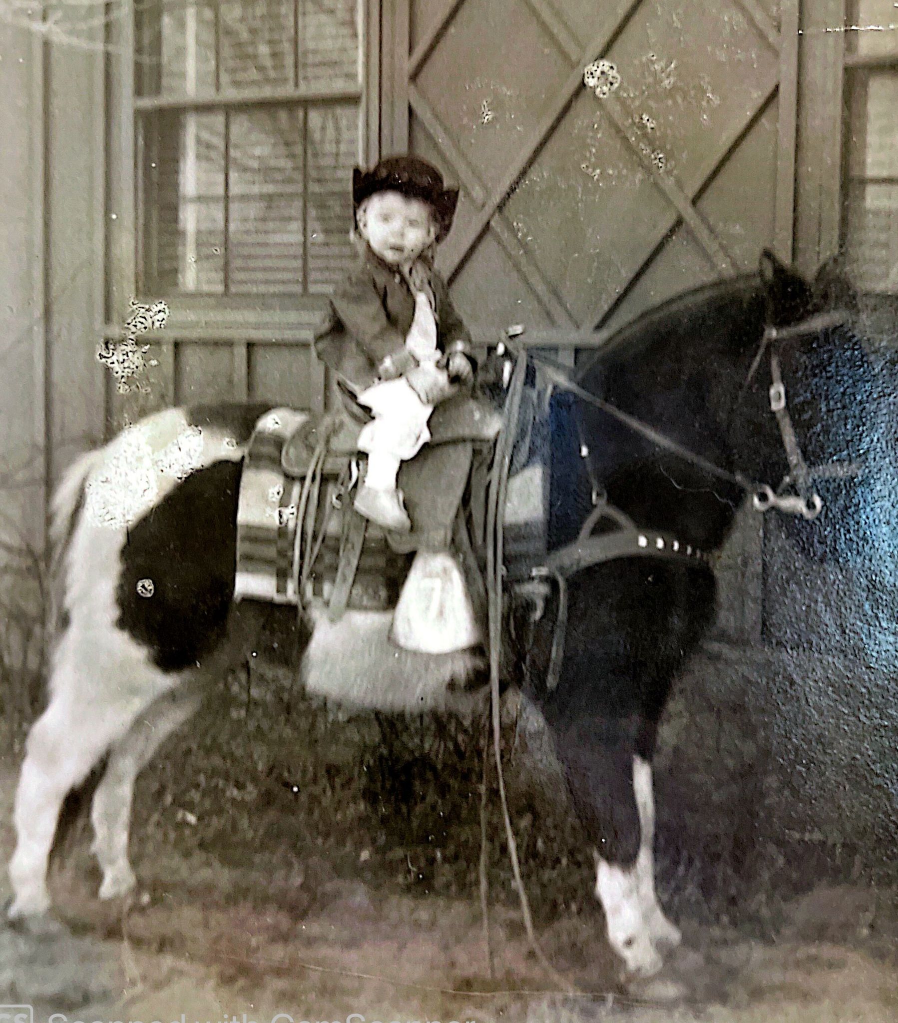 Sharron Dale (Burns)  Gallagher photo gallery image 2 of 106