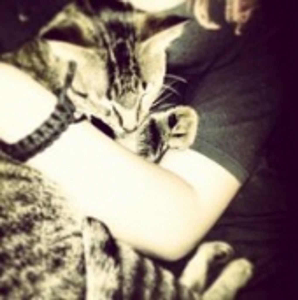 Minx Gray Profile Photo