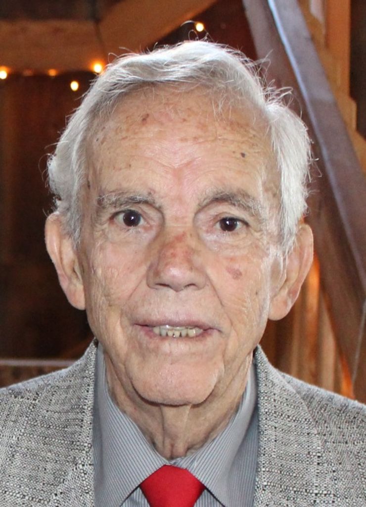 Domenico Silvio Iannacchione