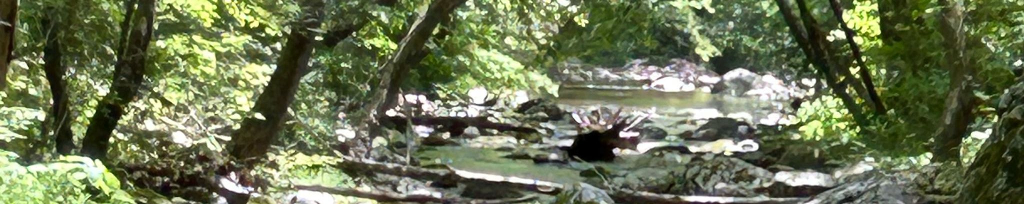 Cover photo for Sandra Louise Snell's Obituary