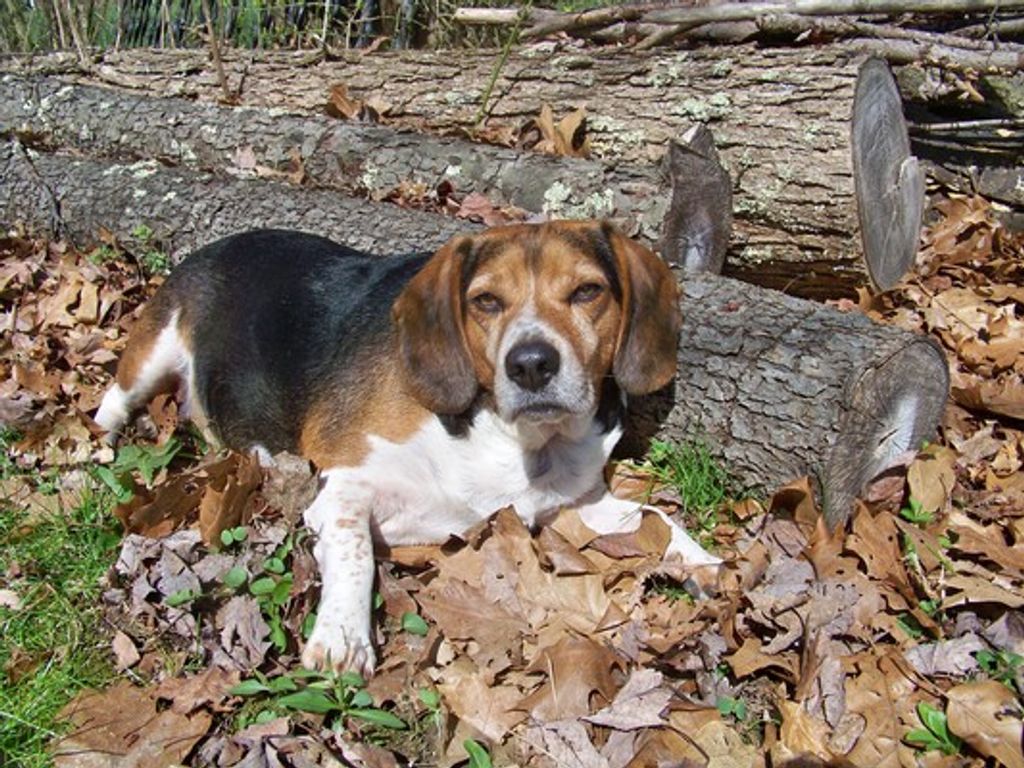 Basil Worth Profile Photo