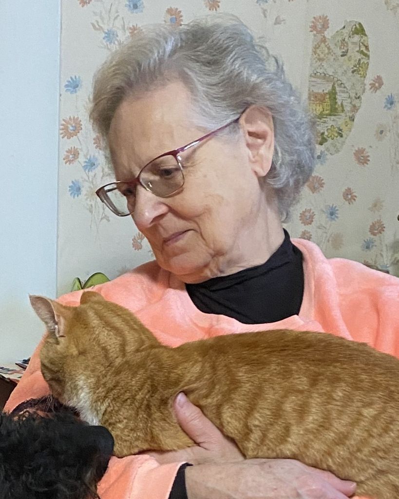 Deborah (Cook) Herd Profile Photo