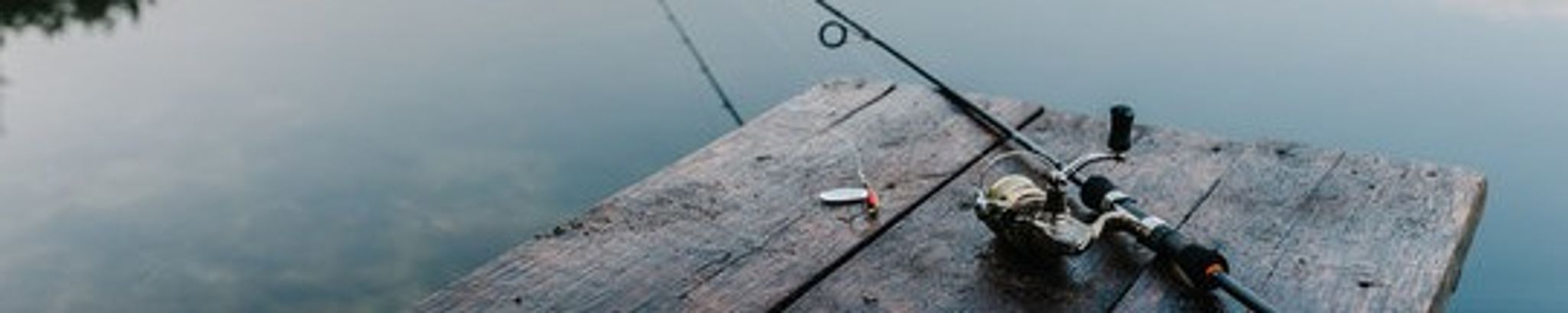 Cover for Giuseppe Sciré's Obituary