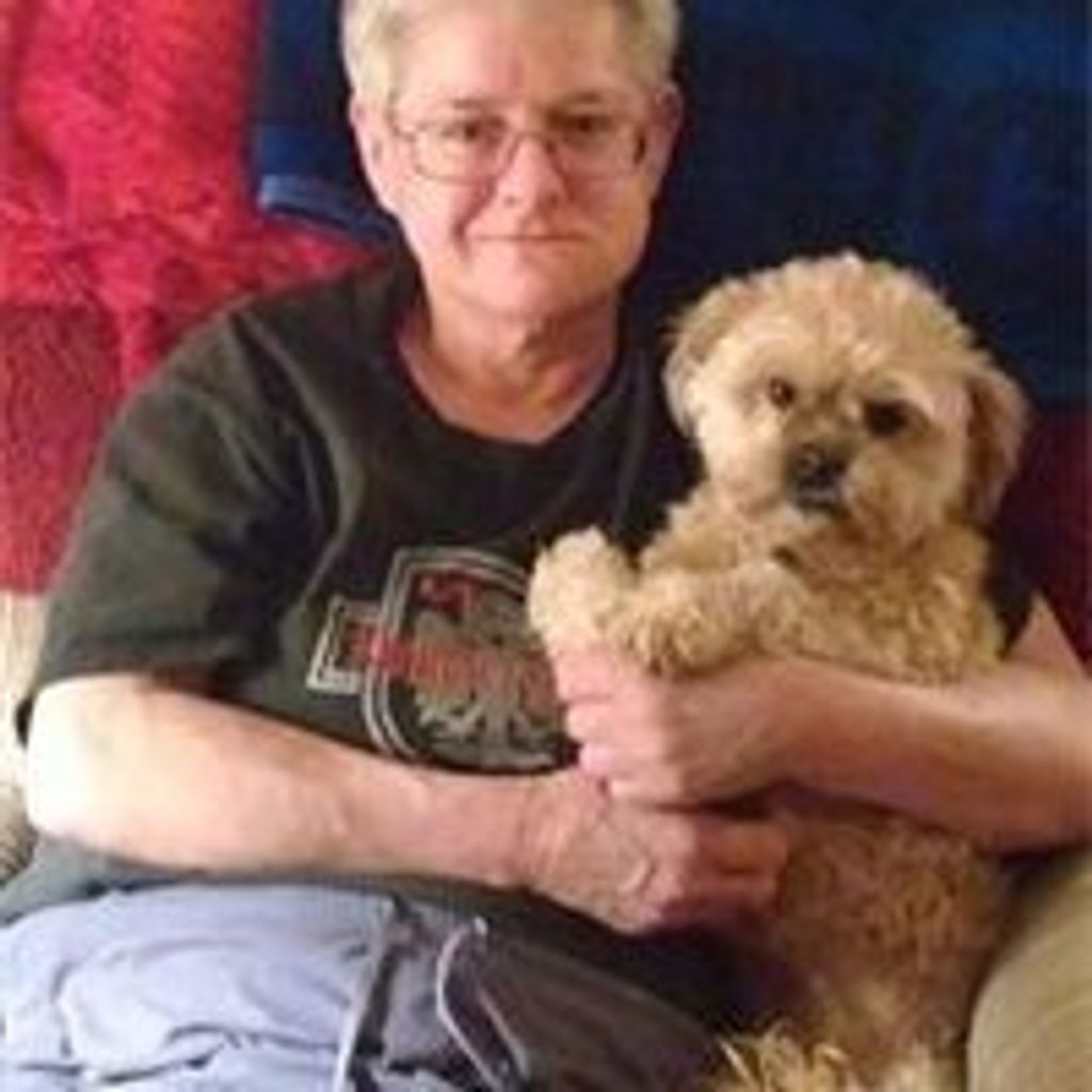 Donna Renee Hammonds Profile Photo