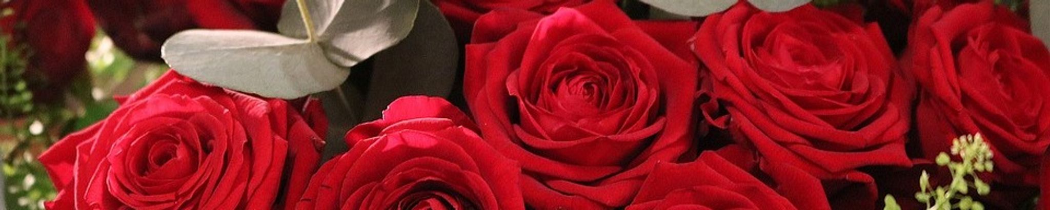 Cover photo for Drue Alder Richardson's Obituary