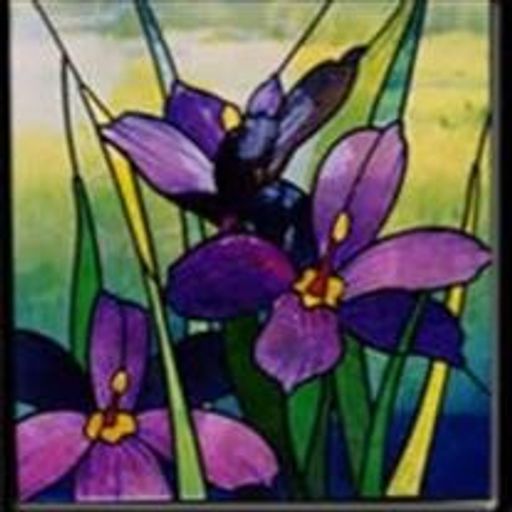 Jenel Cameron Hill Profile Photo