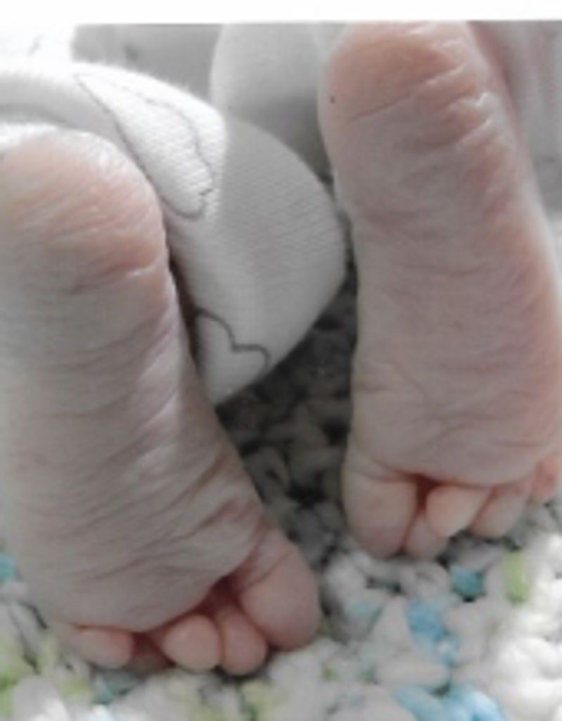 Cameron L. Wilkerson, Jr. Profile Photo