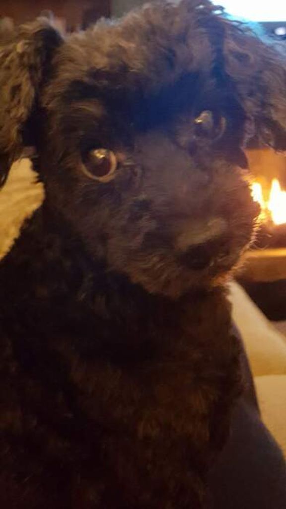 Charley Havnen Profile Photo
