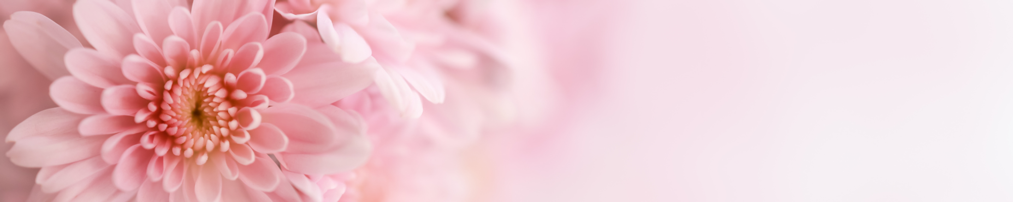 Cover for Hazel Anna Elaine Wellman's Obituary