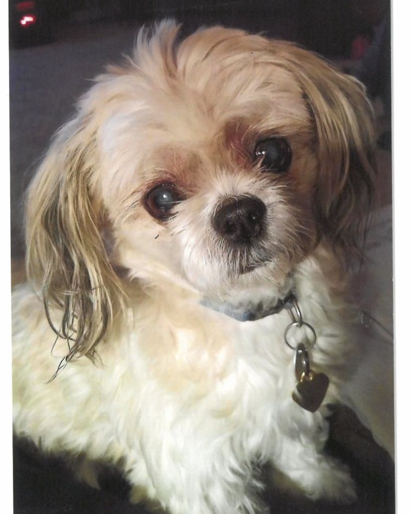 Abby Profile Photo