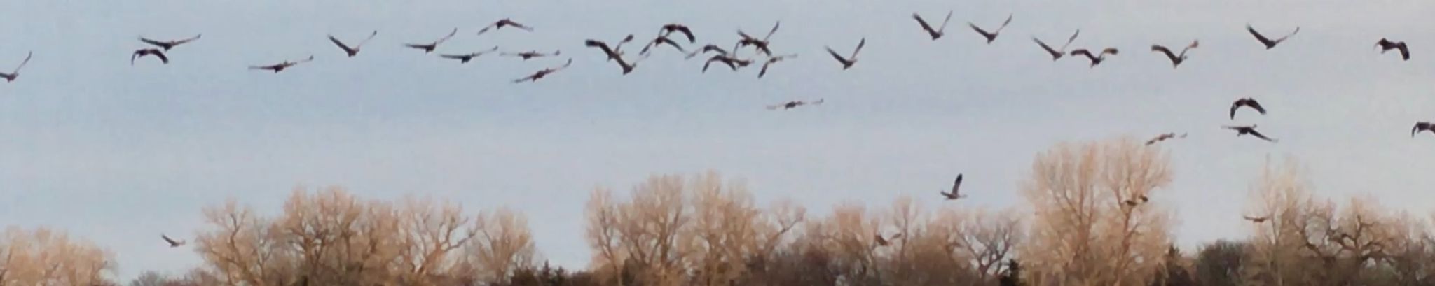 Cover photo for Janet Evelyn Rogers's Obituary