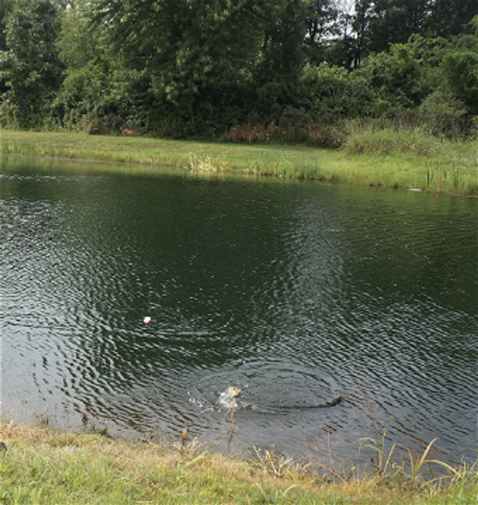 Elmer L. Bradford Jr. Profile Photo