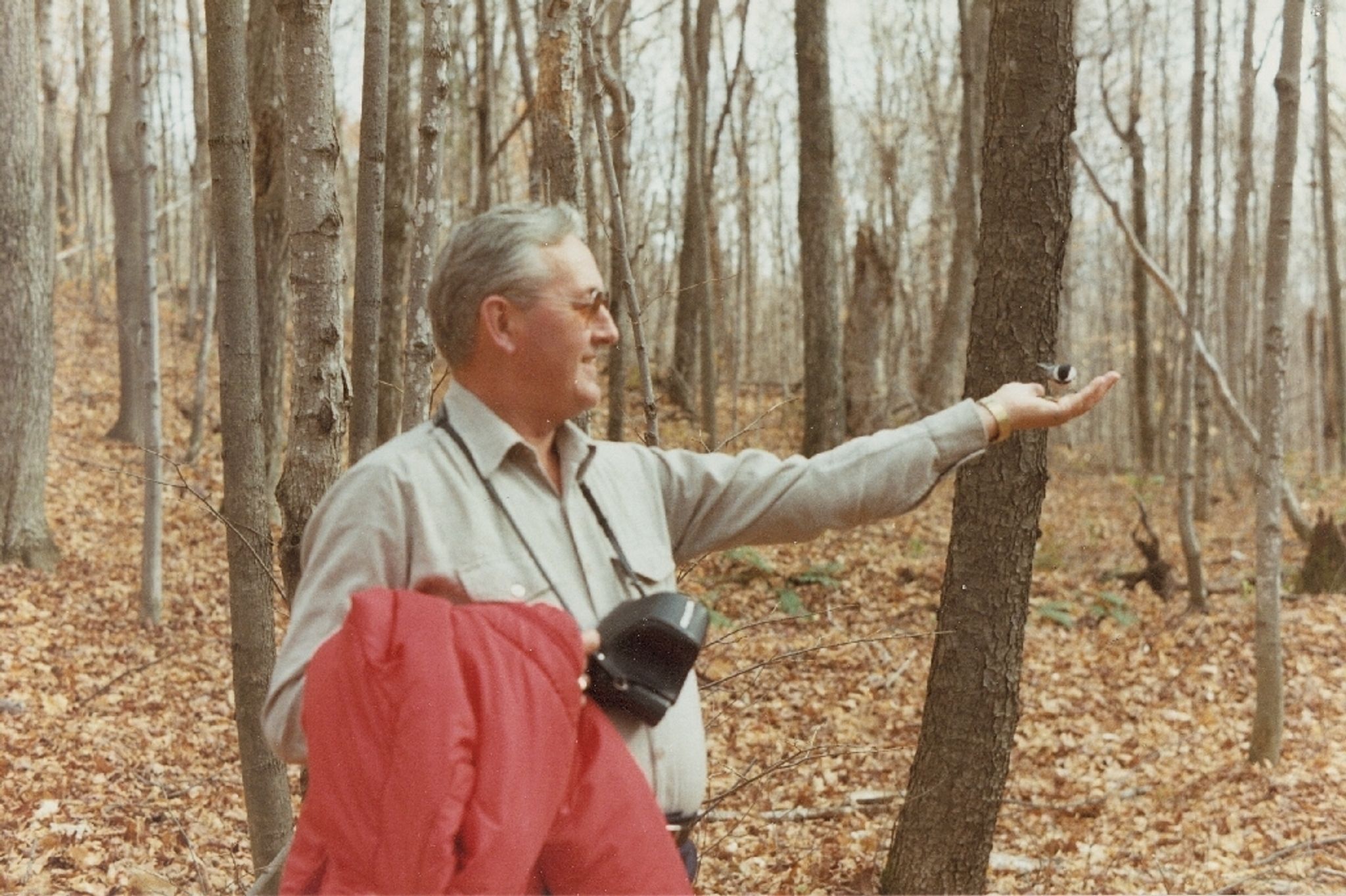Knut Berger photo gallery image 2 of 20